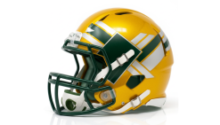 Green Bay Celebration Can's